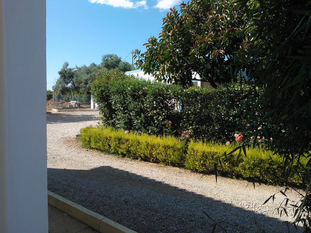 塔维拉 Quinta Da Moura Casa-De-Campo旅馆 外观 照片