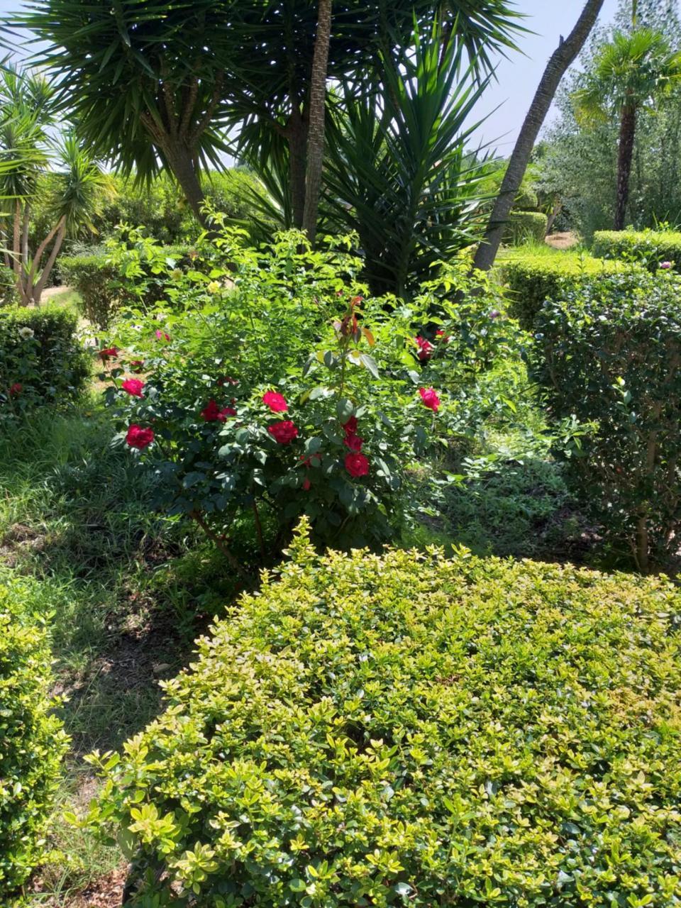 塔维拉 Quinta Da Moura Casa-De-Campo旅馆 外观 照片